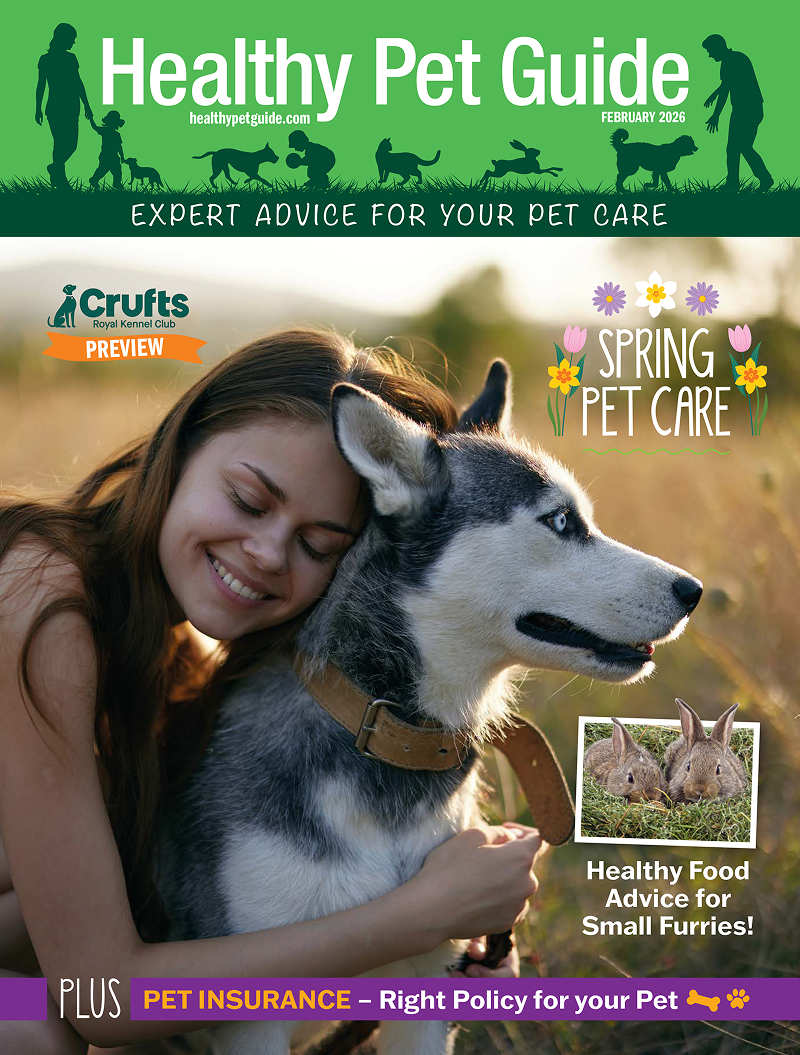 Healthy Pet Guide February 2026